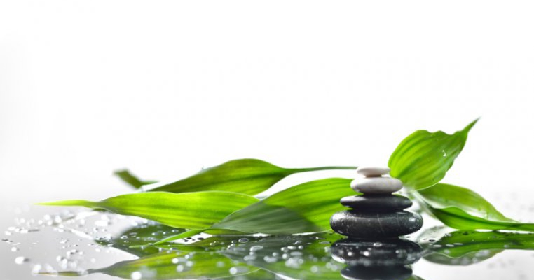 Remedii naturale pentru chisturile ovariene