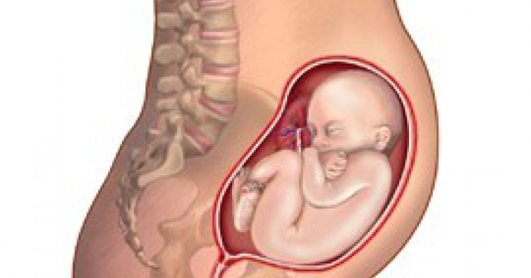 Intepaturi in zona pelviana in timpul sarcinii