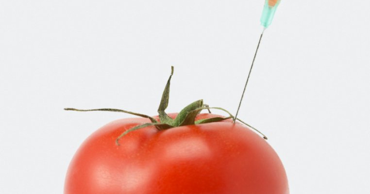 Alimentele modificate genetic: tot ce trebuie sa stii