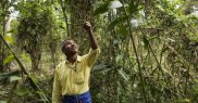Bărbatul care a plantat un copac in fiecare zi
