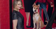 Cameron Diaz, una dintre cele mai îndrăgite actrițe americane