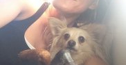 Înainte să devină mamă, Cameron Diaz era pasionată să surprindă imagini cu cei 4 câini ai ei