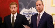 Prinții William și Harry