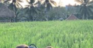 Adela Popescu și Radu Vâlcan au fost în vacanță cu copiii în Bali