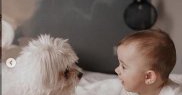 A răspuns ferm criticilor aduse