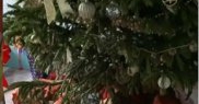 Şi-au petrecut sărbătorile în izolare