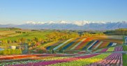 Insula Hokkaido, Japonia