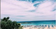 Fig Tree Bay
