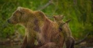 „Nicăieri nu e mai bine decât cu mama mea!”