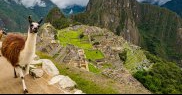 Săgetător - Peru