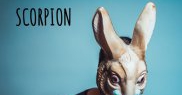 SCORPION - Nebunul teatral