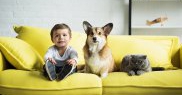 Băiețel cu animale de companie