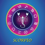 Scorpion