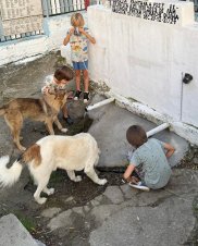 Adela Popescu și Radu Vâlcan, au dat orașul pe liniștea de la Șușani.