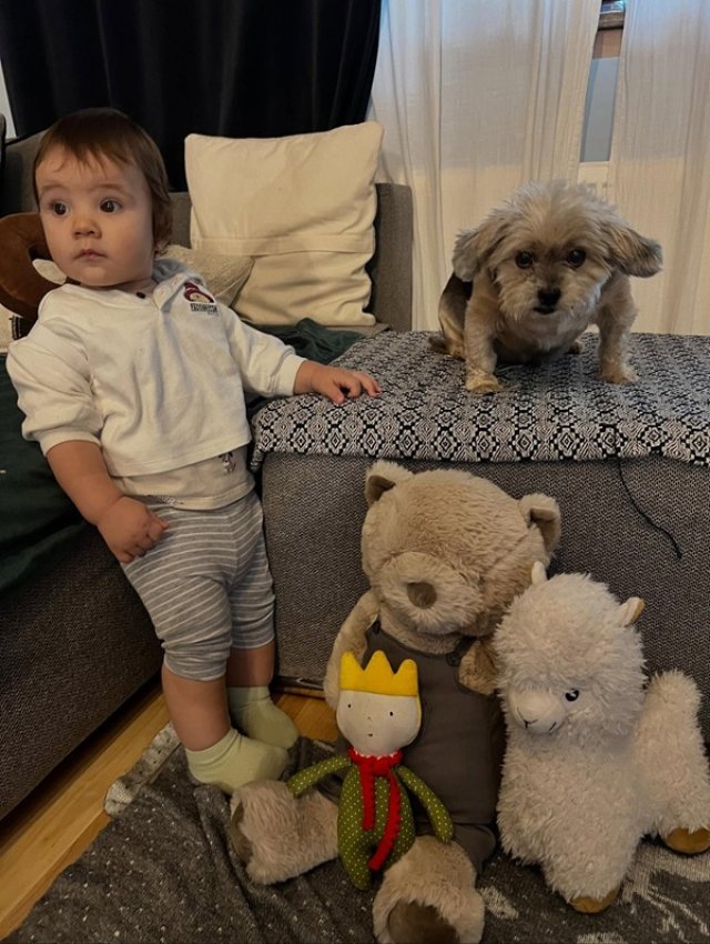 Fiul Ancăi Dinicu a împlinit un an de viață. Părinții i-au organizat o petrecere pe cinste.