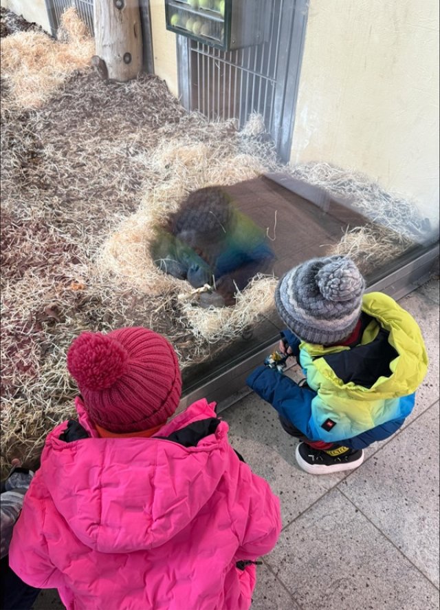 Namiko, fiica lui Cabral și a Andreei Ibacka a împlinit 7 ani pe data de 2 decembrie