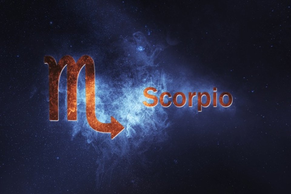 Scorpion