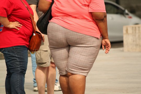 Obiceiurile alimentare mediază predispoziția spre obezitate