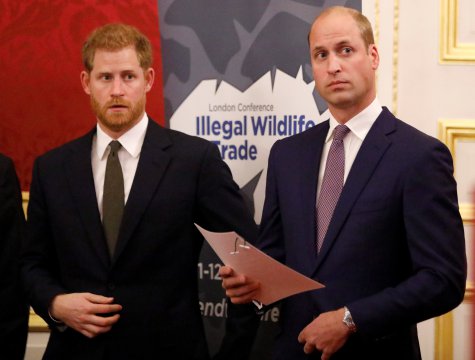 Prinții William și Harry