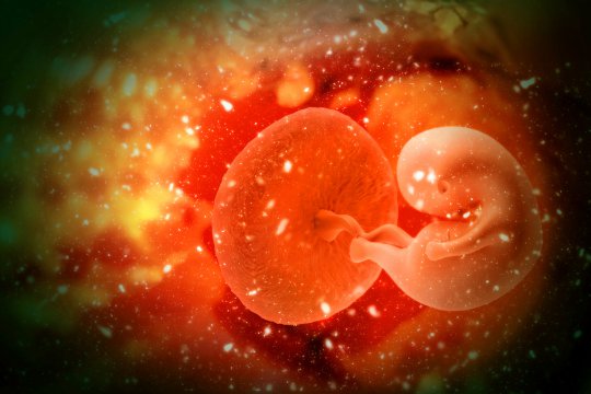 S-a nascut primul bebeluș dintr-un embrion înghețat acum 27 de ani