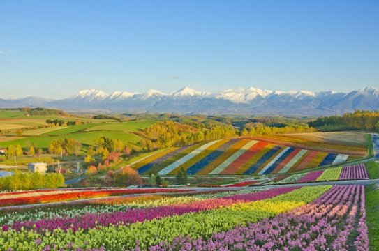 Insula Hokkaido, Japonia