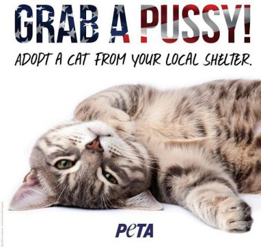 Mențiune: Fotografie promovată de PETA