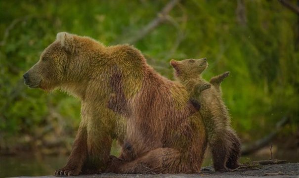 „Nicăieri nu e mai bine decât cu mama mea!”