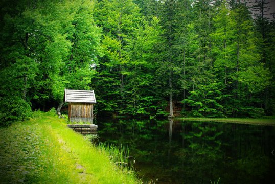 Pădurea bavareză, Germania