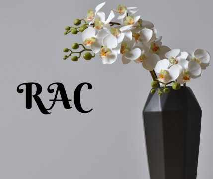 RAC ❤️ Maiestuoasa orhidee