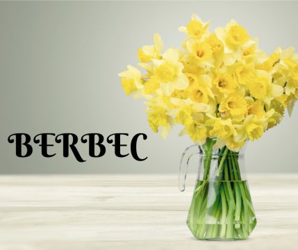 BERBEC ❤️ Delicatele narcise