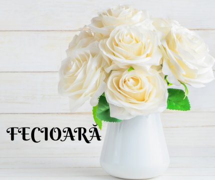 FECIOARĂ ❤️ Imaculații trandafiri albi