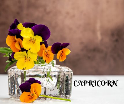 CAPRICORN ❤️ Panseluțele tenace