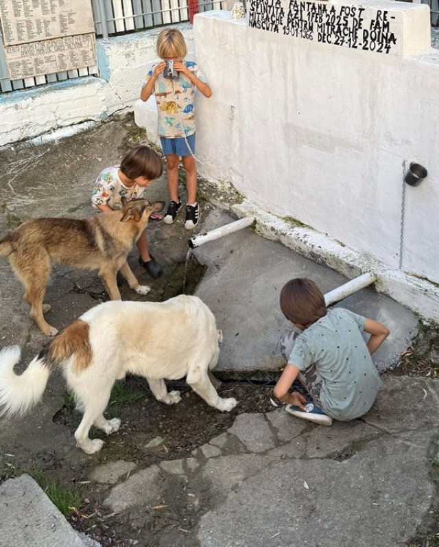 Adela Popescu și Radu Vâlcan, au dat orașul pe liniștea de la Șușani.
