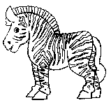 Zebra 6