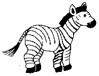 Zebra 8