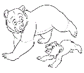 Ursi Desene si planse colorat Qbebe