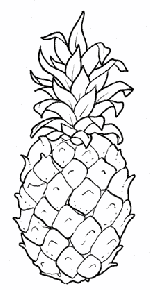 Ananas 6