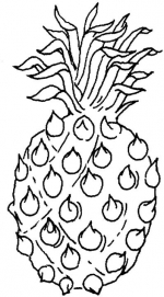 Ananas 7