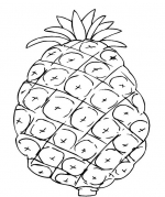 Ananas 8