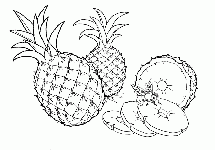 Ananas 9