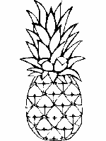 Ananas 10