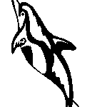 Planse de desenat cu delfin
