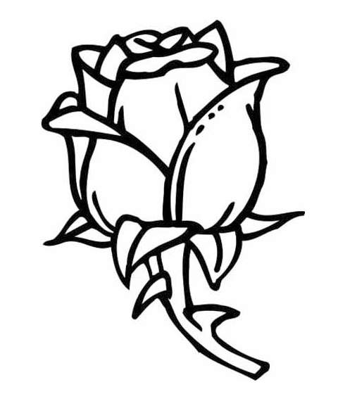 Desene De Colorat Cu Trandafiri Poza 1 Desene De Colorat