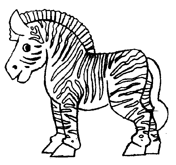 Zebra 6