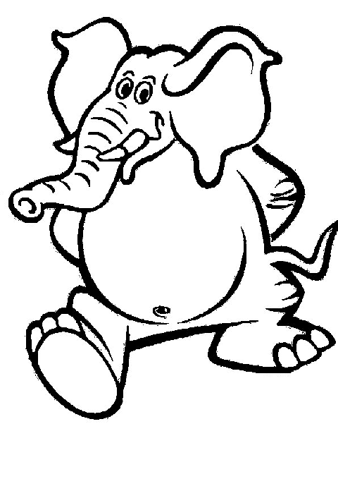 Elefanti 8
