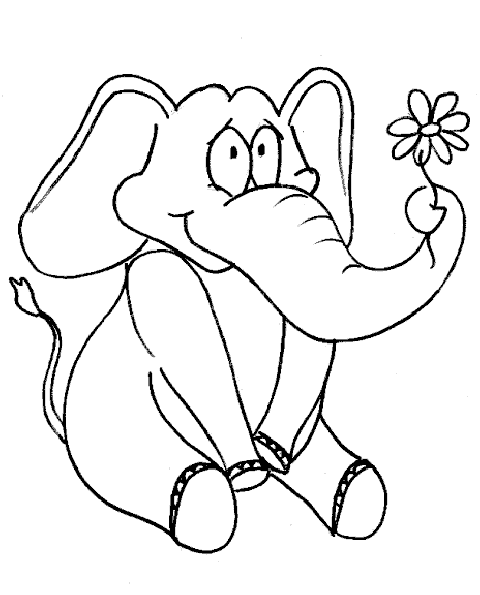 Elefanti  11