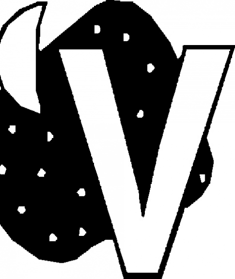 Desen de colorat litera V
