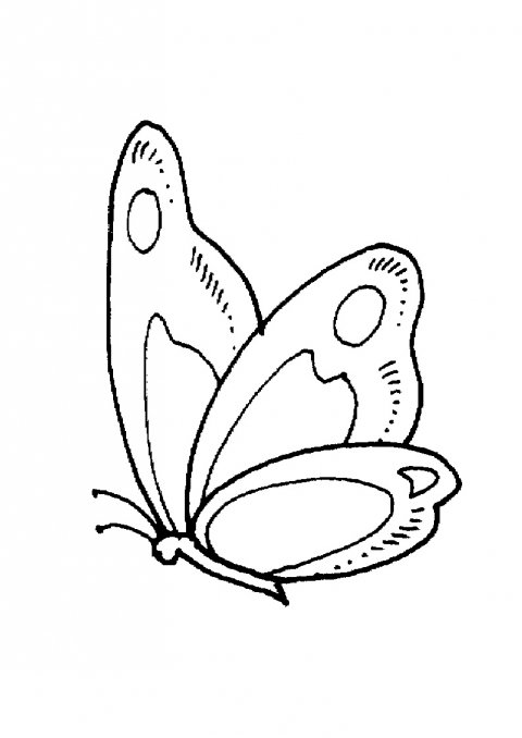 Fluture