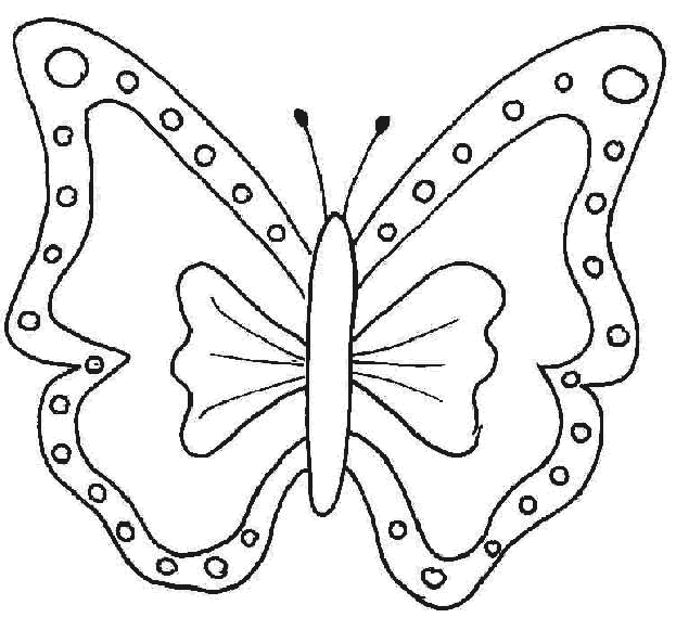 Fluture 4