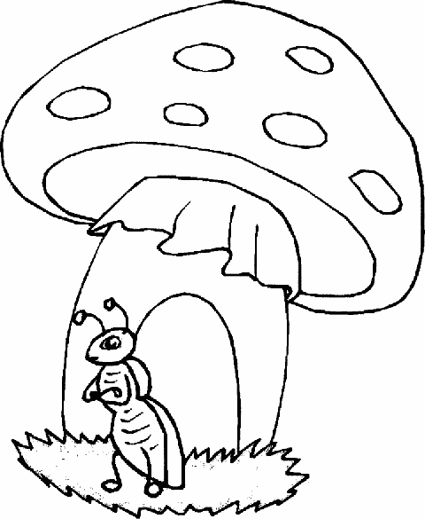 Ciuperci 2